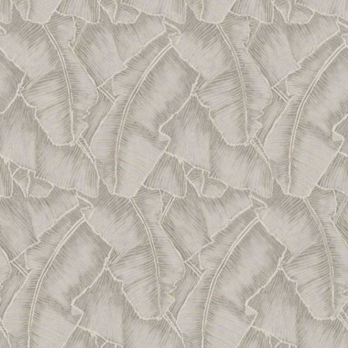 Cuba Selva CBBA 84321341