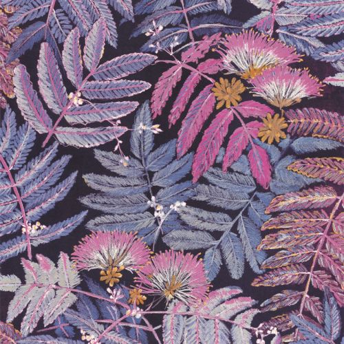 ALBIZIA BOTA 85895328