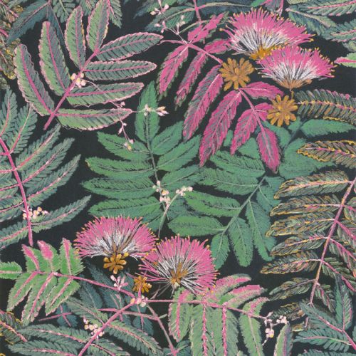 ALBIZIA BOTA 85897490