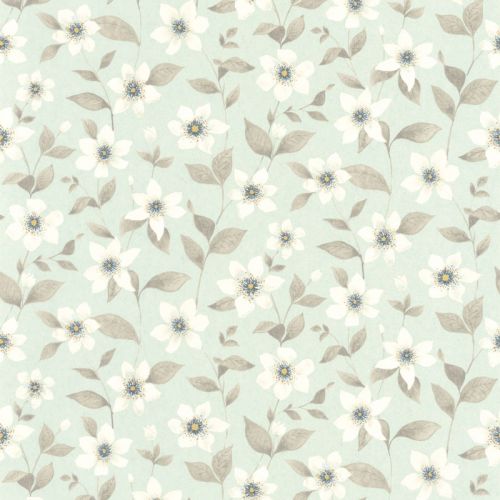 CLEMATITES GADN87646120