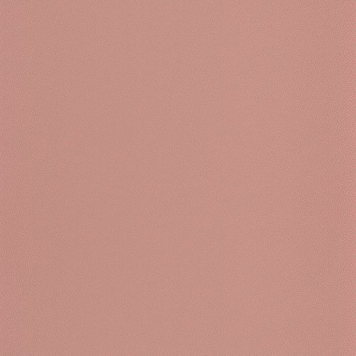 GOMA OYS 100404117