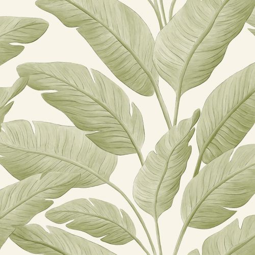 Tropicalia 5 colores