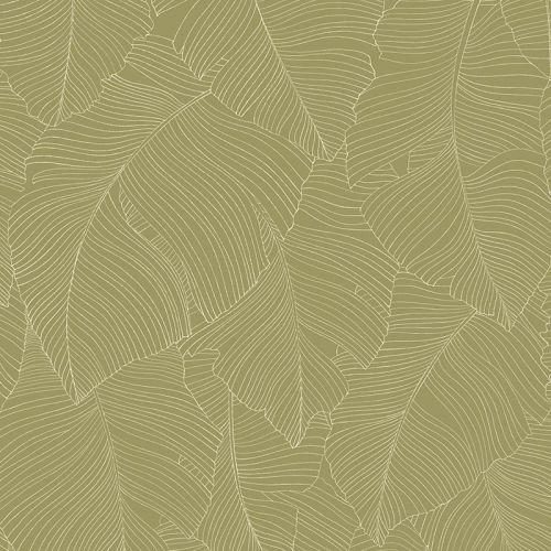Vegetalia 5 colores