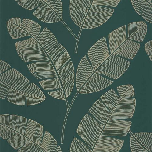 Moonlight Banana Tree Vert sapin GCO101107251
