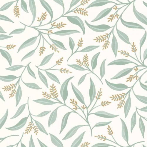 Grasse Vert de gris GCO103880748
